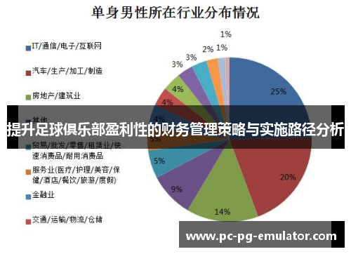 提升足球俱乐部盈利性的财务管理策略与实施路径分析
