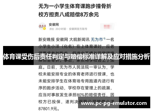 体育课受伤后责任判定与赔偿标准详解及应对措施分析