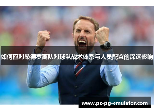 如何应对桑德罗离队对球队战术体系与人员配置的深远影响