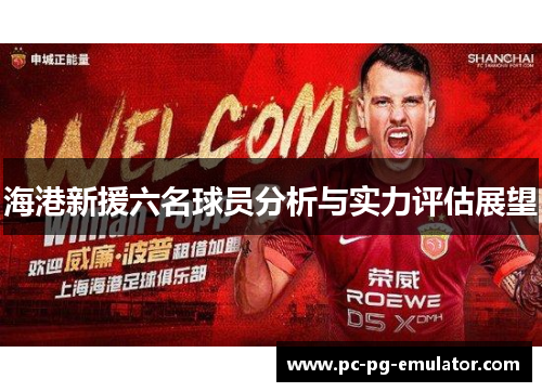 海港新援六名球员分析与实力评估展望