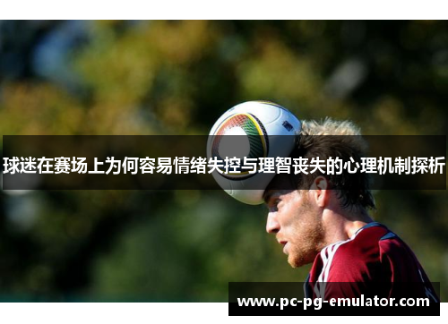 球迷在赛场上为何容易情绪失控与理智丧失的心理机制探析