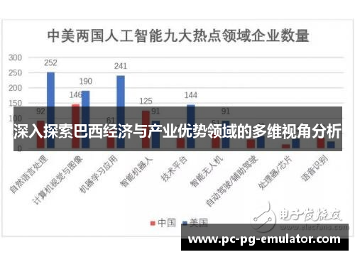 深入探索巴西经济与产业优势领域的多维视角分析