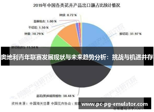 奥地利青年联赛发展现状与未来趋势分析：挑战与机遇并存